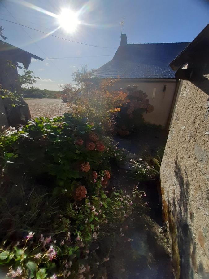 Maison A La Campagne - Piscine Beaulieu-sur-Layon Exterior foto